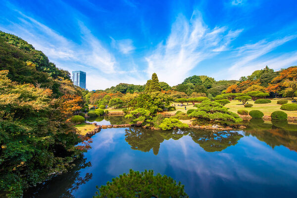 Autumn in the Shinjuku park, Tokyo, Japan. Copy space for text.