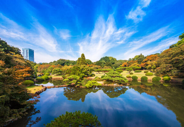 Autumn in the Shinjuku park, Tokyo, Japan. Copy space for text.
