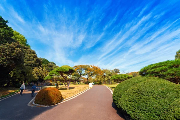 Autunno nel parco Shinjuku, Tokyo, Giappone. Copia spazio per testo . — Foto Stock