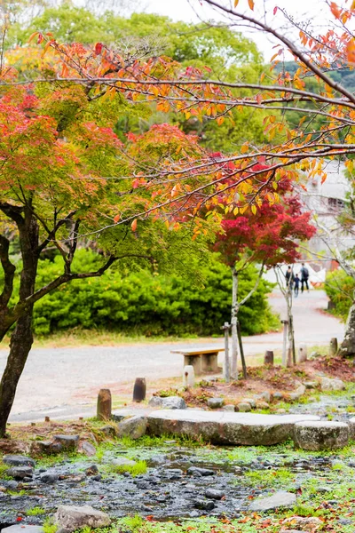 Widok na krajobraz jesień w parku, Kyoto, Japonia. Kopiować miejsca na tekst. Pionowe. — Zdjęcie stockowe