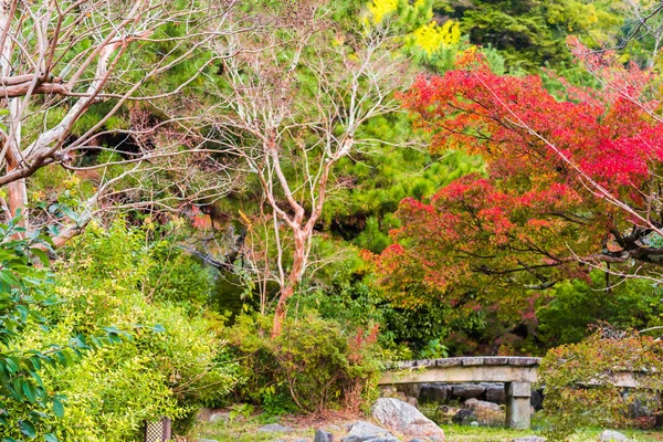 Veduta del paesaggio autunnale nel parco, Kyoto, Giappone. Copia spazio per testo . — Foto Stock