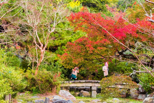 KYOTO, GIAPPONE - 7 NOVEMBRE 2017: Veduta del paesaggio autunnale nel parco. Copia spazio per testo . — Foto Stock