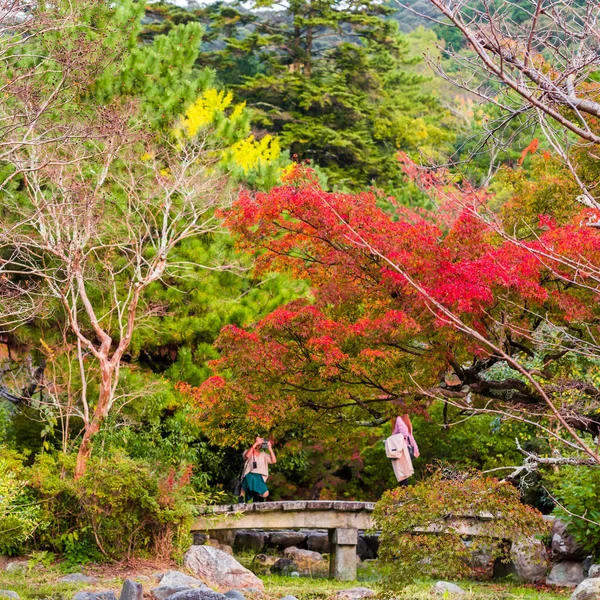 Kyoto, Japonia - 7 listopada 2017: Widok krajobraz jesień w parku. Kopiować miejsca na tekst. — Zdjęcie stockowe