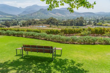 Güney Afrika, Franschhoek 'in üzüm bağlarına bakın.