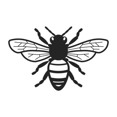 Bal arı illüstrasyon