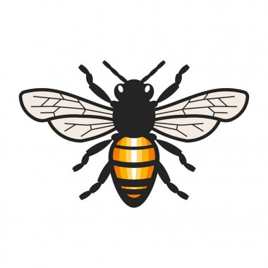 Bal arı illüstrasyon