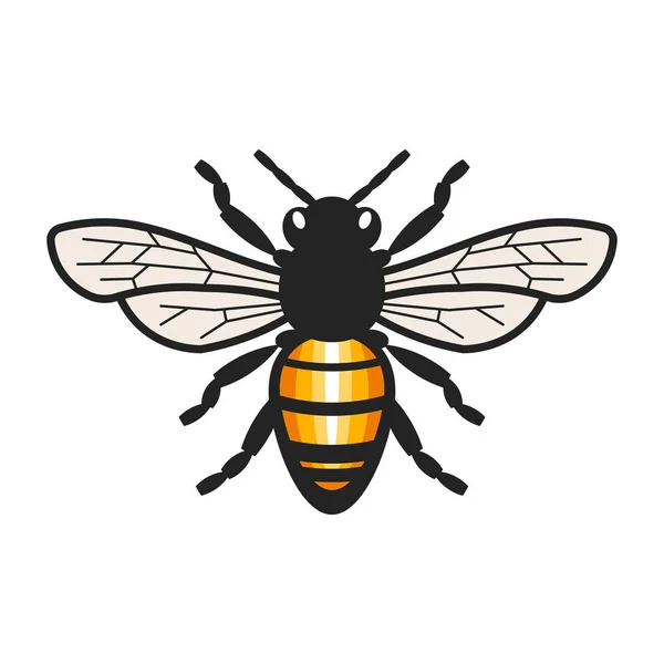 Honey Bee Illustration — Stock vektor