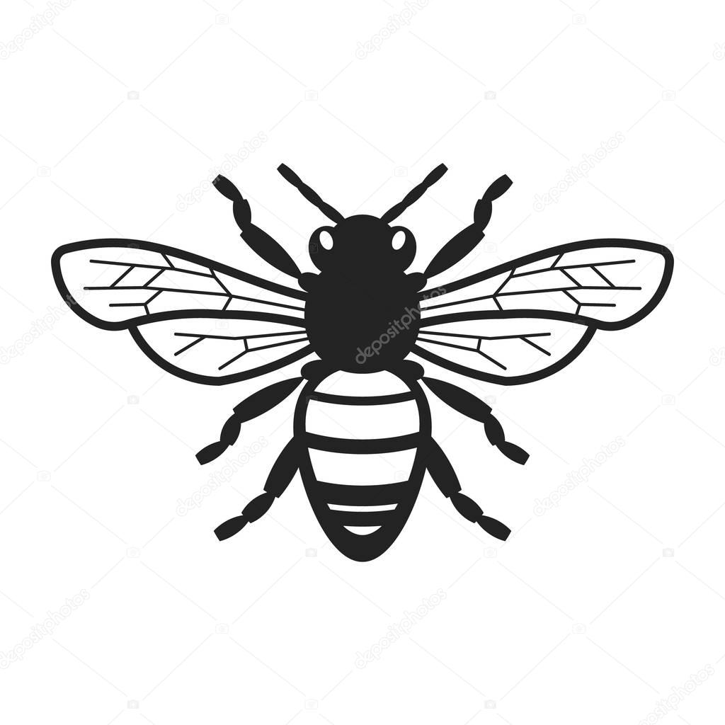 Honey Bee Illustration
