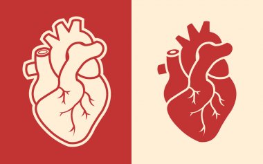 Human Heart Design Icon clipart