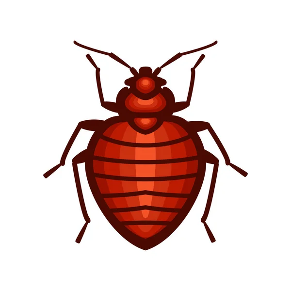 Bed bug Vector Art Stock Images Depositphotos