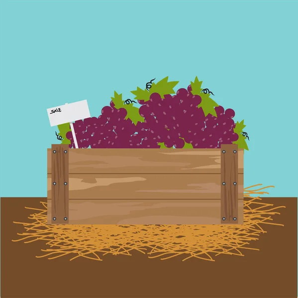 Виноград в деревянном ящике . — стоковый вектор
