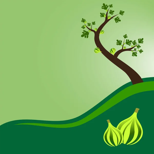 Fig tree with leaves and fruits, Vector illustration. — Stock Illustration Fig tree with leaves and fruits, Vector illustration. Royalty Free Stock Illustrations