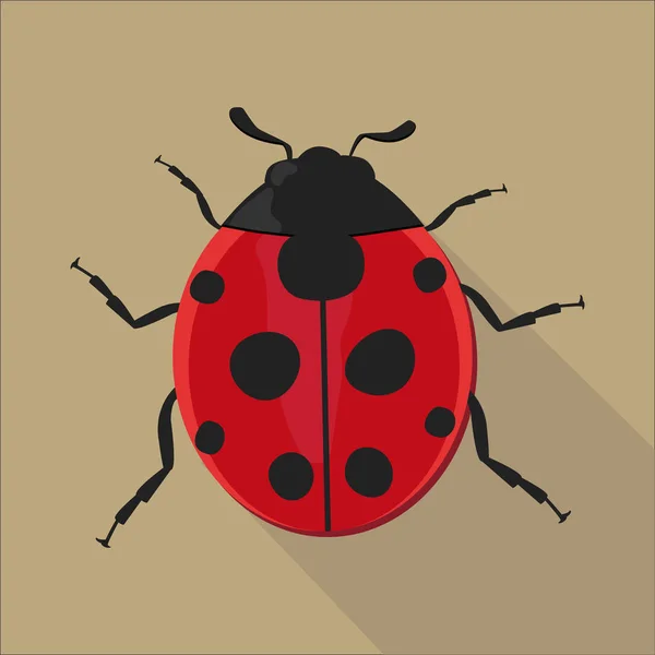 Ladybug isolado estilo plano, ilustração vetorial . — Vetor de Stock