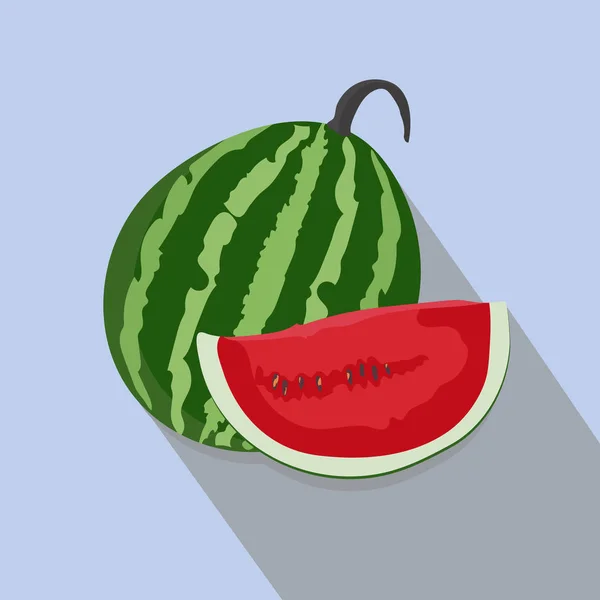 Wassermelonen und Scheiben isoliert, Vektorillustration. — Stockvektor