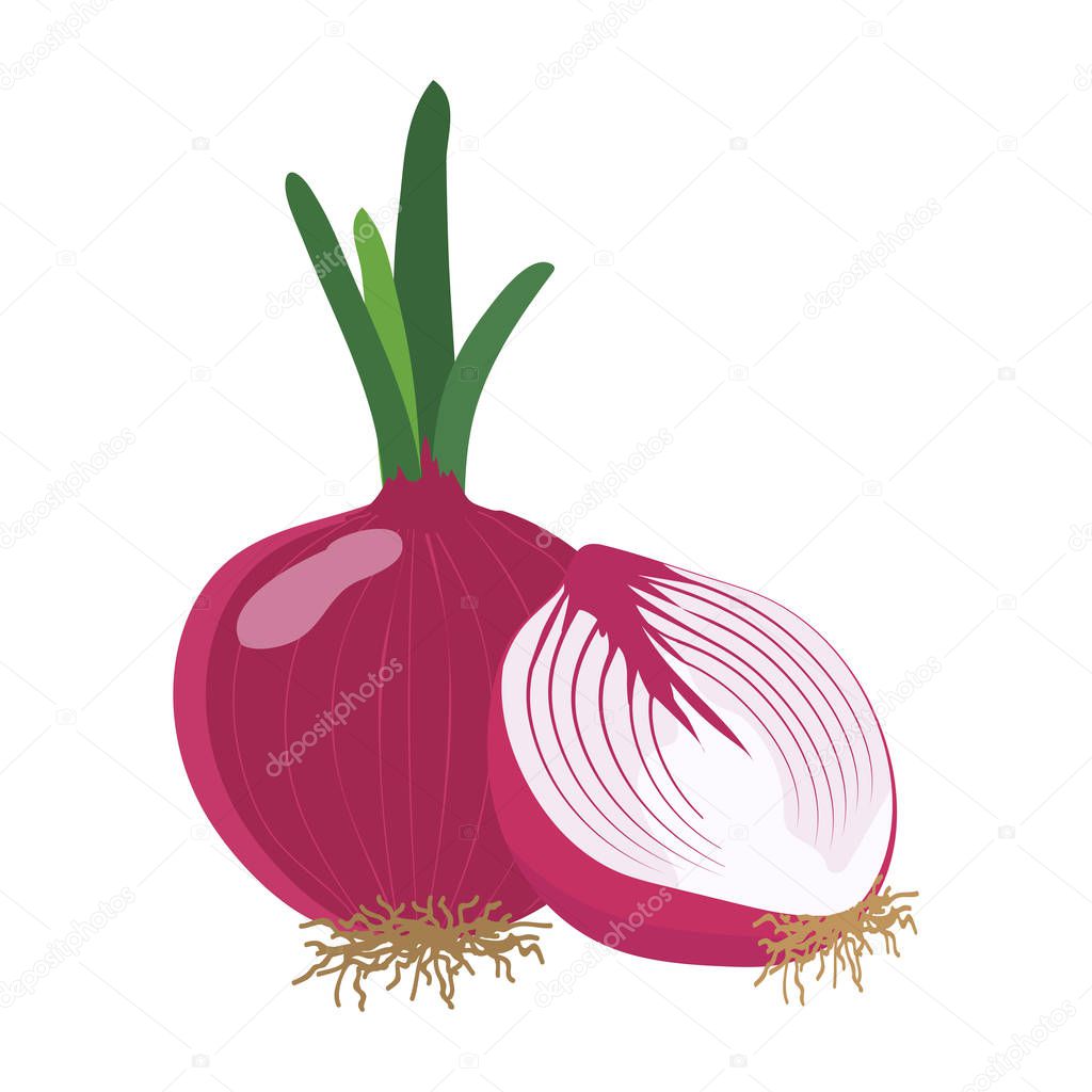 Red onion with slice flat design, vector illustration.