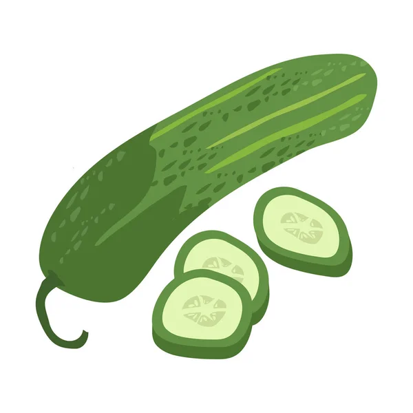 Pepino con diseño plano rebanada, pepino aislado sobre fondo blanco . — Vector de stock