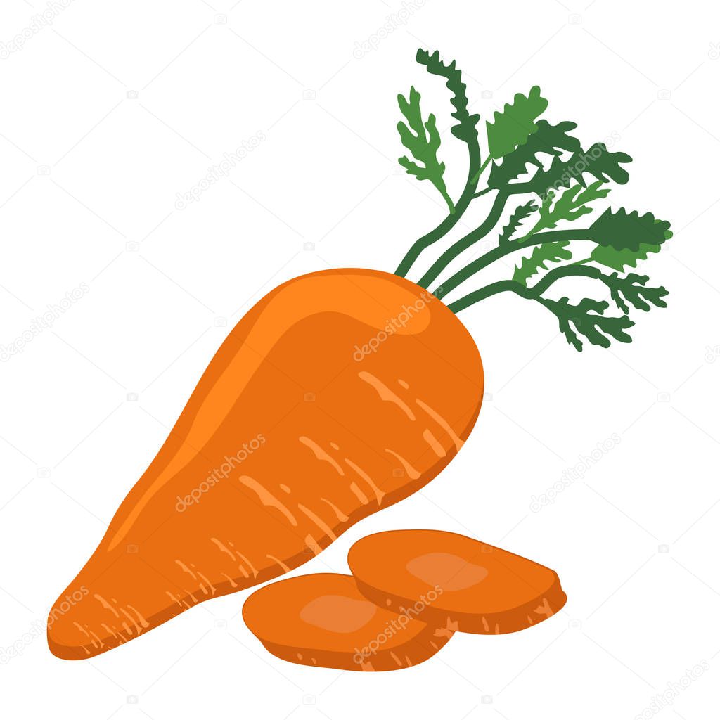 Carrot with slice flat design, Carrot isolated on white background.