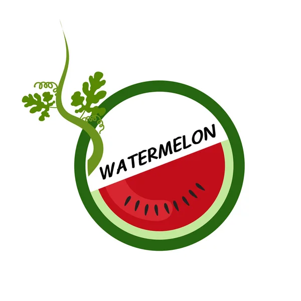 Watermeloen Fruit pictogrammen vlakke stijl, vectorillustratie. — Stockvector