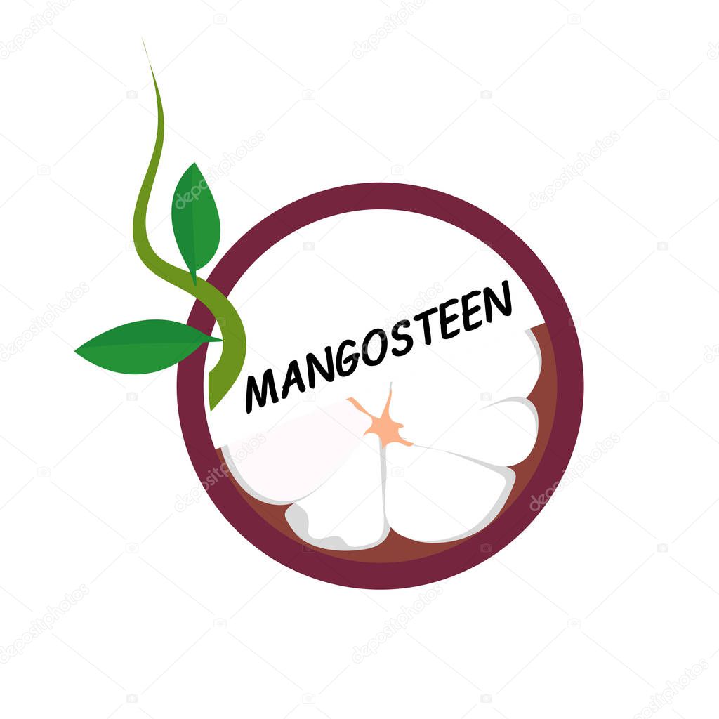 Mangosteen  Fruit icons flat style, Vector Illustration.