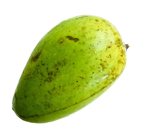 Mango fruta No tóxico aislado sobre fondo blanco . —  Fotos de Stock