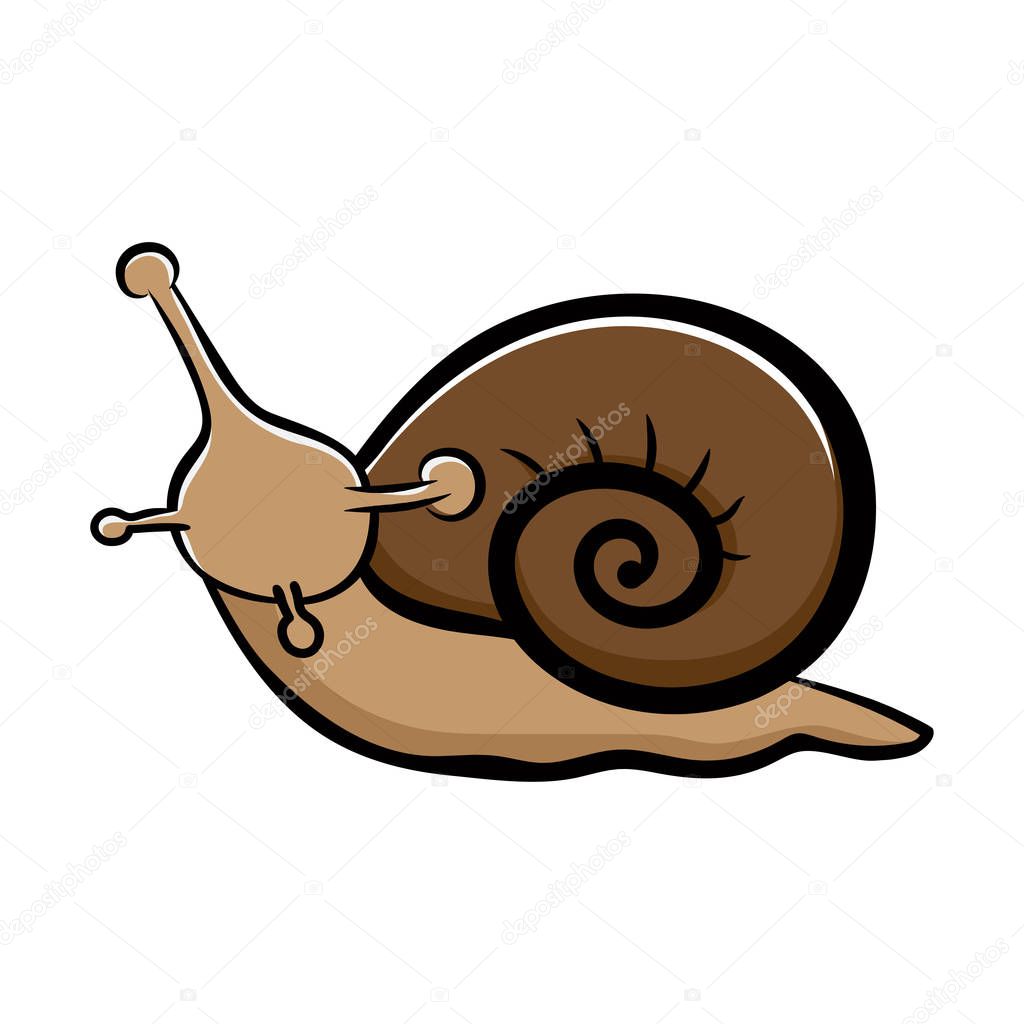 Cute snail isolat