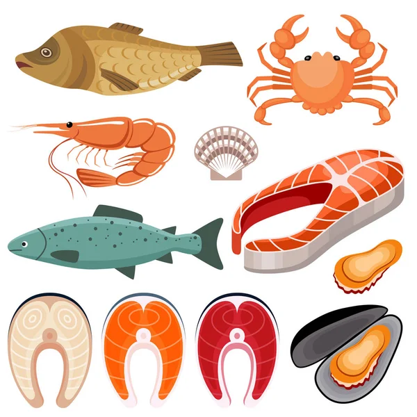 Seafood. Illustration of fish, shrimp, mussels and crab on a white background — Stock Vector
