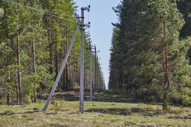 Polonyalılar teller ile 