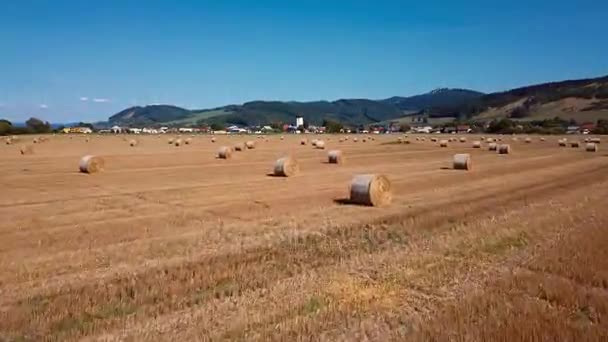 Flygande ovanför fältet med runda höstackar, Slovakien. — Stockvideo