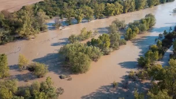 Inondazione aerea del fiume primaverile nella foresta — Video Stock
