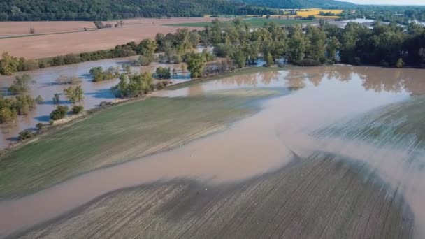 Inundación aérea del río primavera en el bosque — Vídeos de Stock