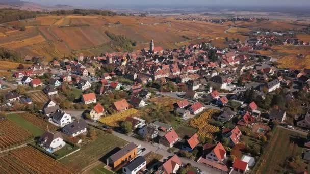 Repülés alatt őszi Riquewihr szőlőültetvények, Elzász, Franciaország — Stock videók