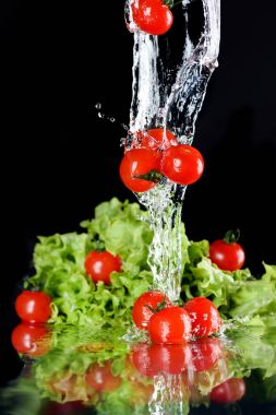 cherry tomatoes and lettuce clipart