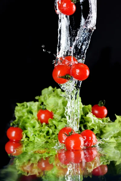 Körsbärstomater och sallad — Stockfoto