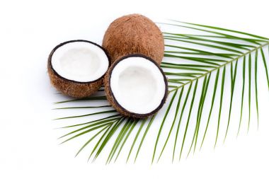 organic ripe coconuts  clipart