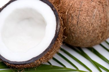 organic ripe coconuts  clipart