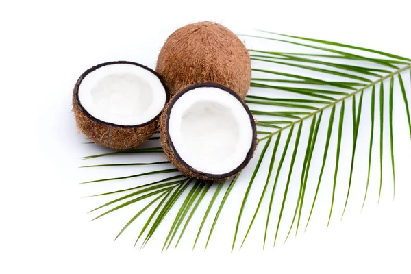 Органические спелые кокосы — стоковое фото