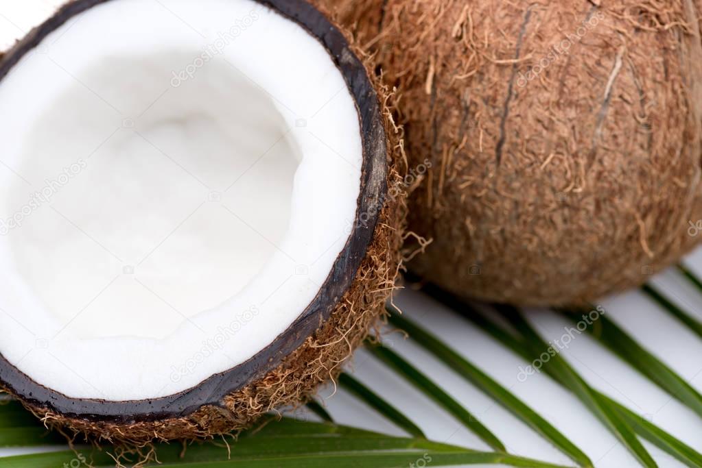 organic ripe coconuts 