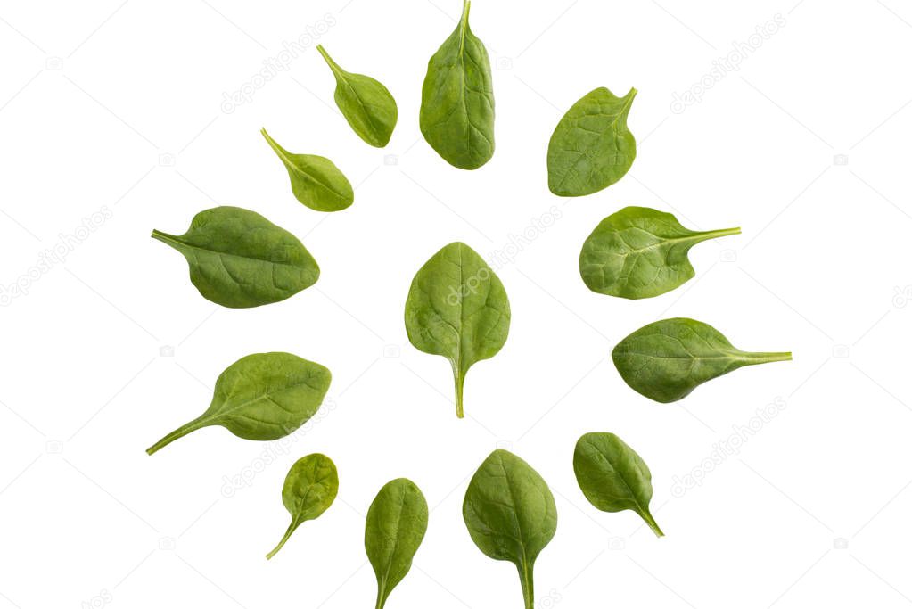 circle of spinach leaves