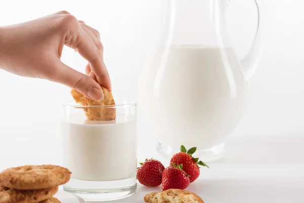 Färsk mjölk med cookies — Stockfoto
