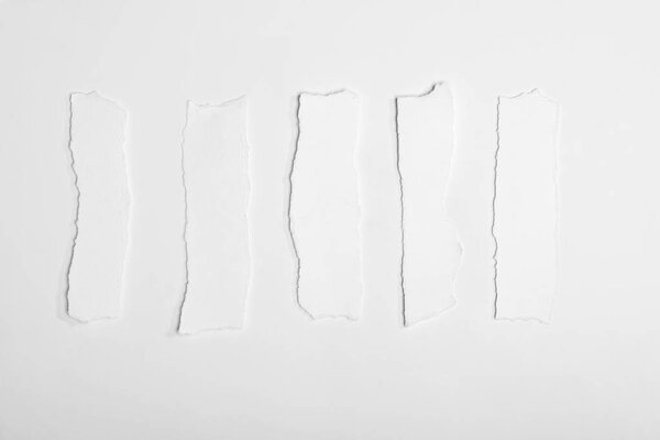 разорванные пустые белые бумаги
 