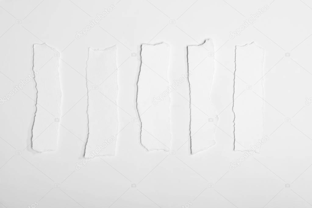 torn empty white papers 