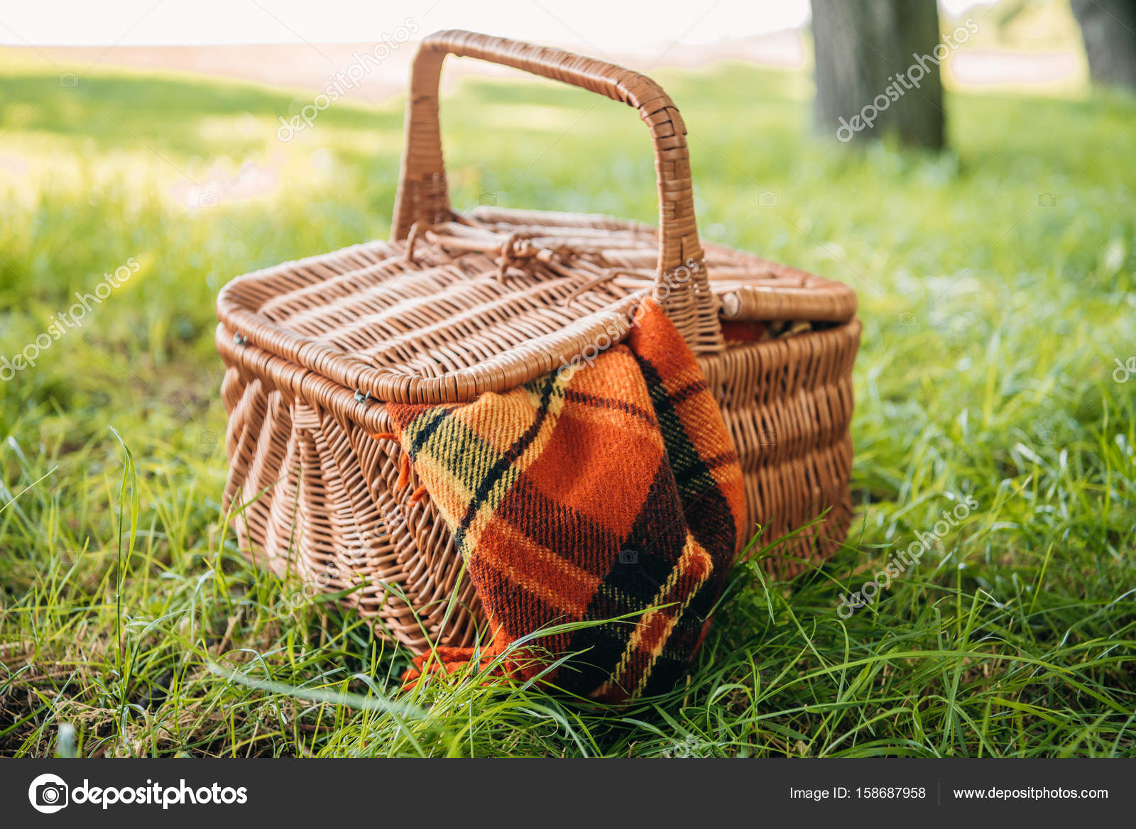 Picnic basket on grass — Stock Photo © alebloshka 158687958