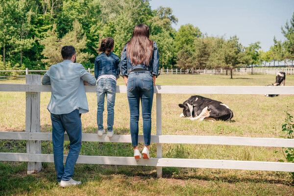 family looking at cows on pasture