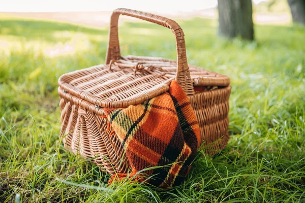 Picnic basket on grass — Stock Photo, Image