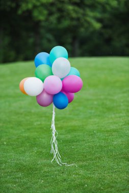 Renkli balon park içinde