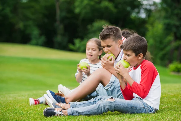 Crianças comendo maçãs no parque — Fotografia de Stock