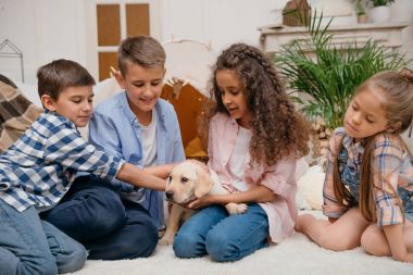 labrador köpek yavrusu çok ırklı çocuklar