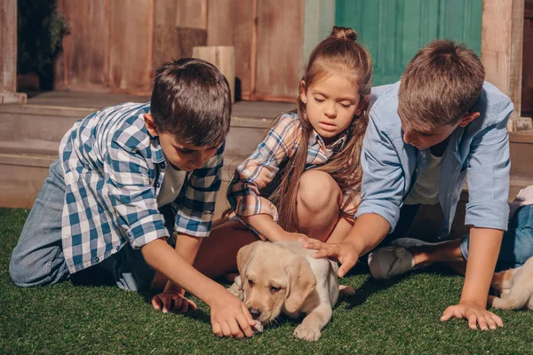 Kids-val, hogy aranyos labrador kiskutya — Stock Fotó