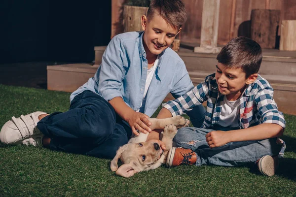 Pojkar spelar med labrador hundvalp — Stockfoto