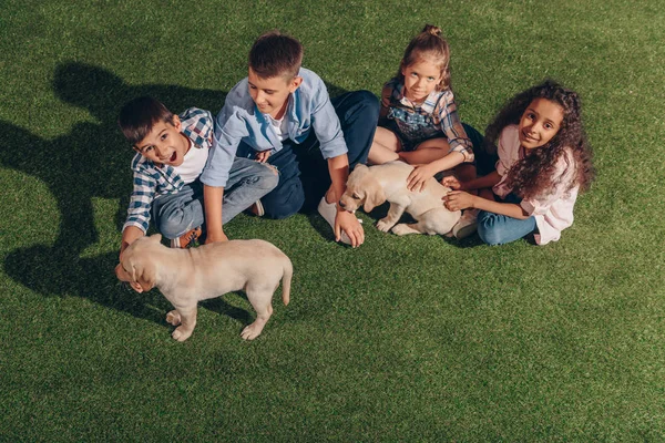 Мультиэтнические дети с милыми щенками — стоковое фото